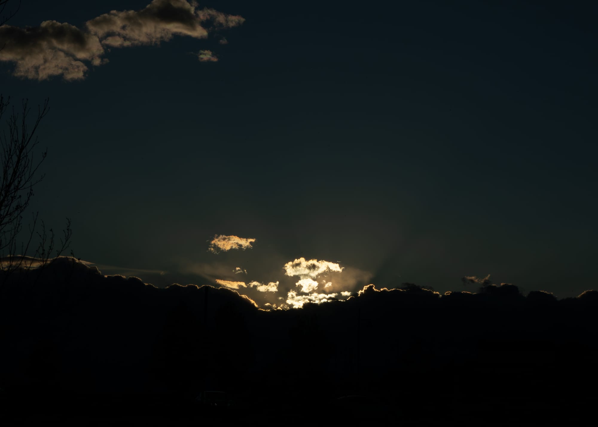 Whitefields Photography